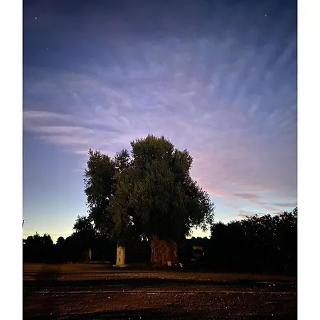 Masseria Conca D'oro *