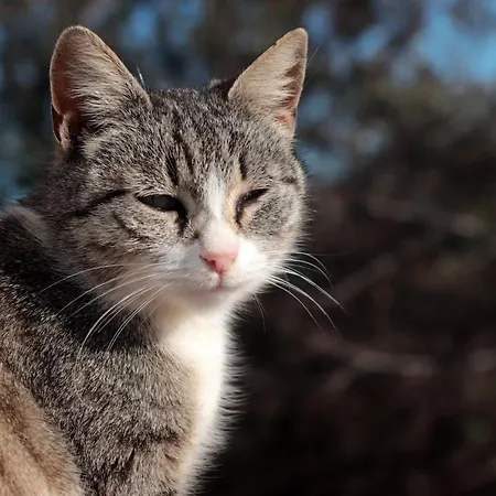 Masseria Conca D'oro *