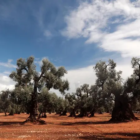 Masseria Conca D'oro