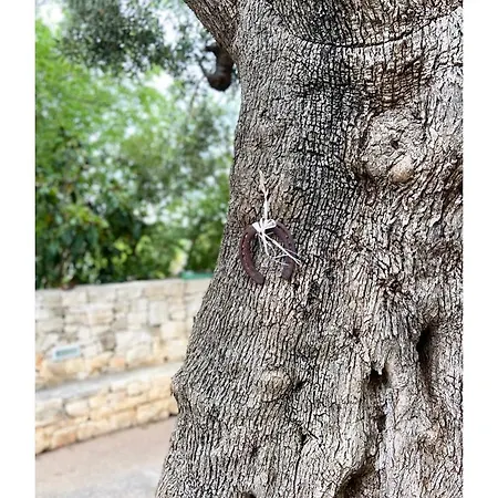 Masseria Conca D'oro אוסטוני