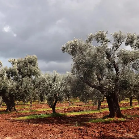 בית כפרי Masseria Conca D'oro אוסטוני