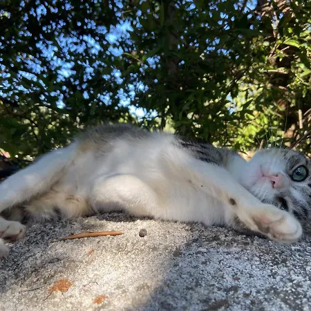 Masseria Conca D'oro