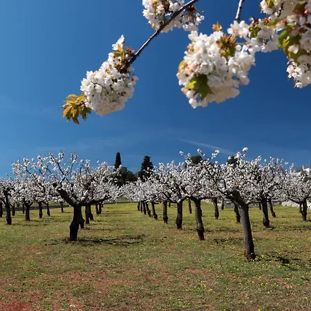 Masseria Conca D'oro * אוסטוני