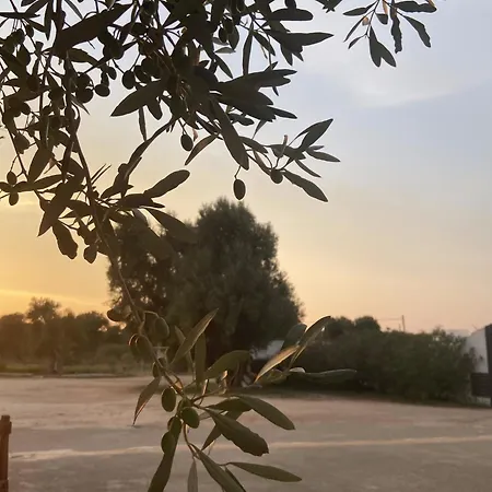 Masseria Conca D'oro בית כפרי