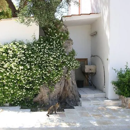בית כפרי Masseria Conca D'oro
