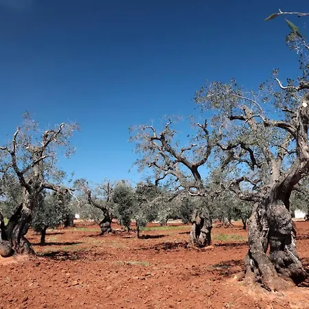 Masseria Conca D'oro