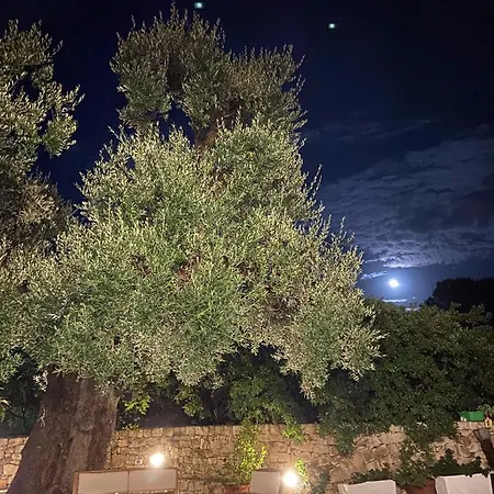 Masseria Conca D'oro Casa di campagna *