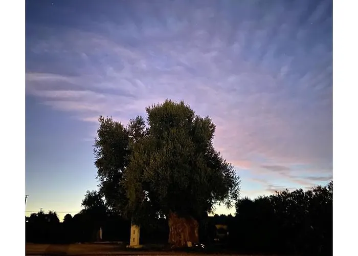 Masseria Conca D'oro *