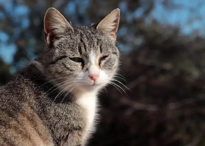 Masseria Conca D'oro *