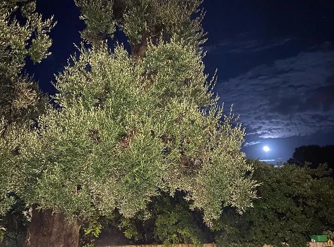 Masseria Conca D'oro Landhaus *