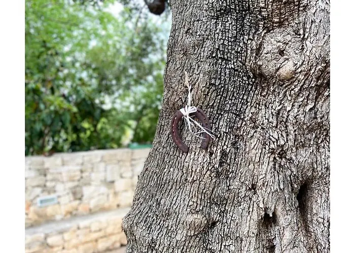 Masseria Conca D'oro Ostuni