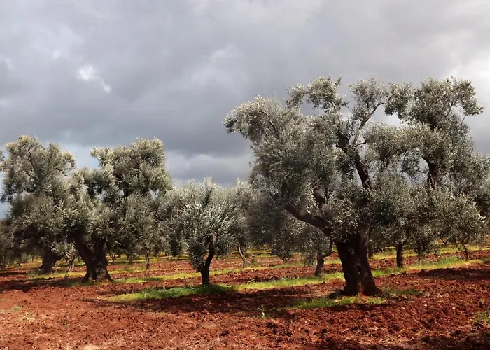 Séjour à la campagne Masseria Conca D'oro Ostuni