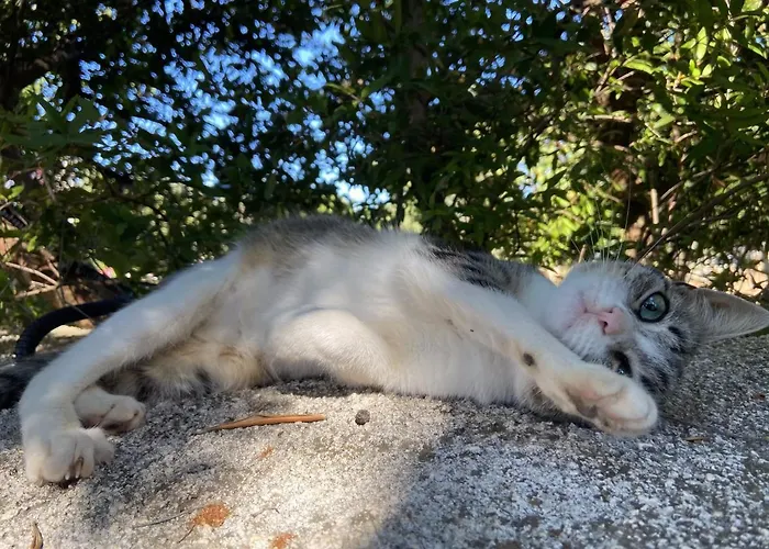 Masseria Conca D'oro