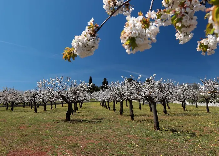 Masseria Conca D'oro * Ostuni