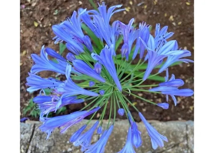 Masseria Conca D'oro Séjour à la campagne *