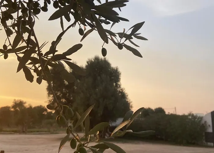 Masseria Conca D'oro Landhaus