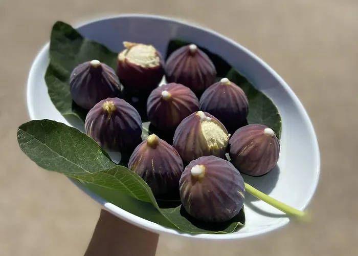 Masseria Conca D'oro *