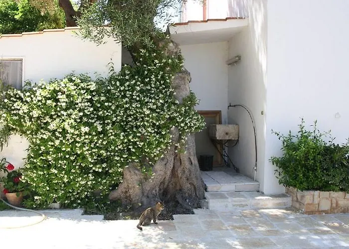 Landhaus Masseria Conca D'oro